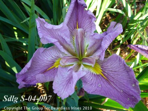 Sdlg S-04-007-833 